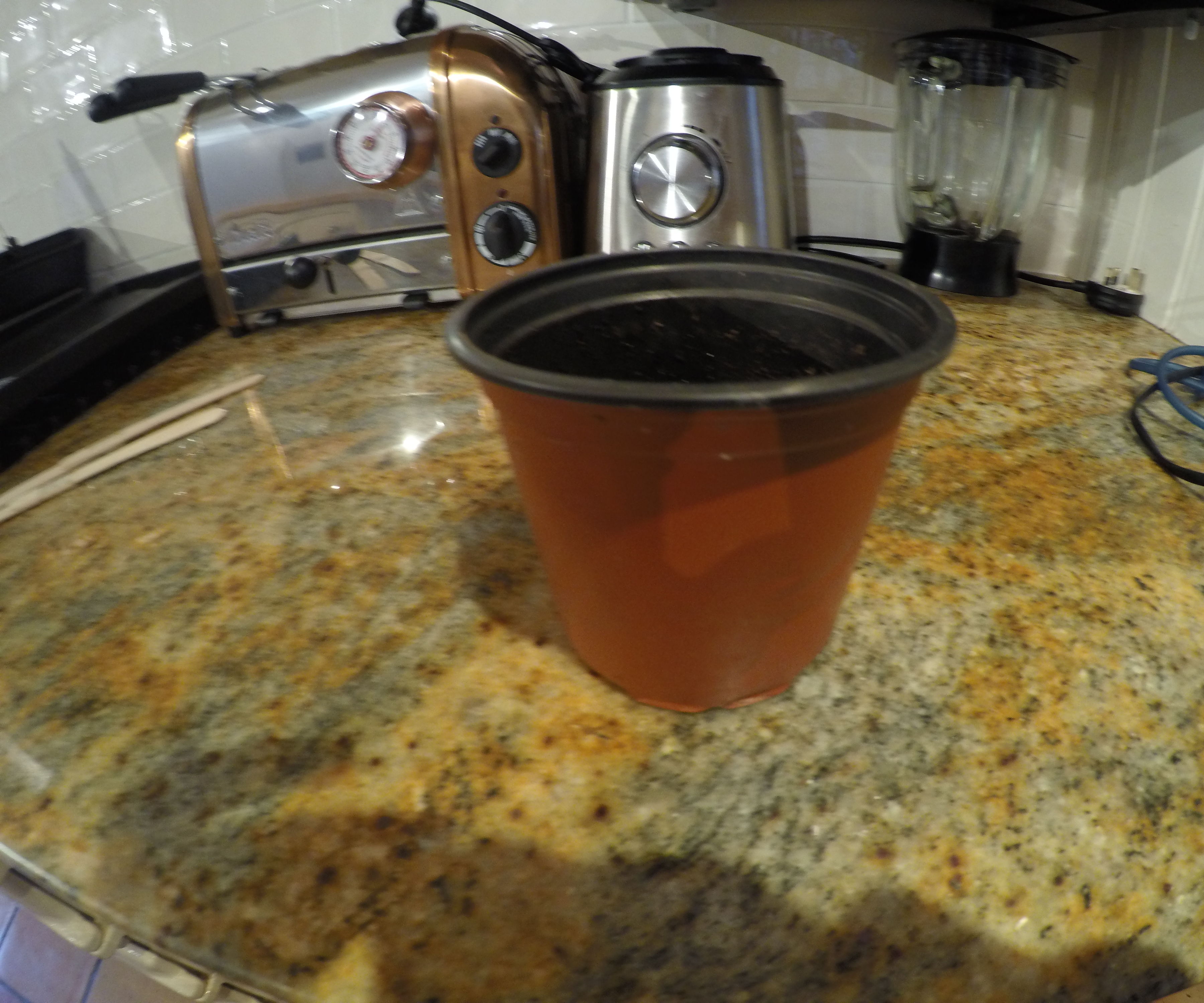 Beginner Hydroponics