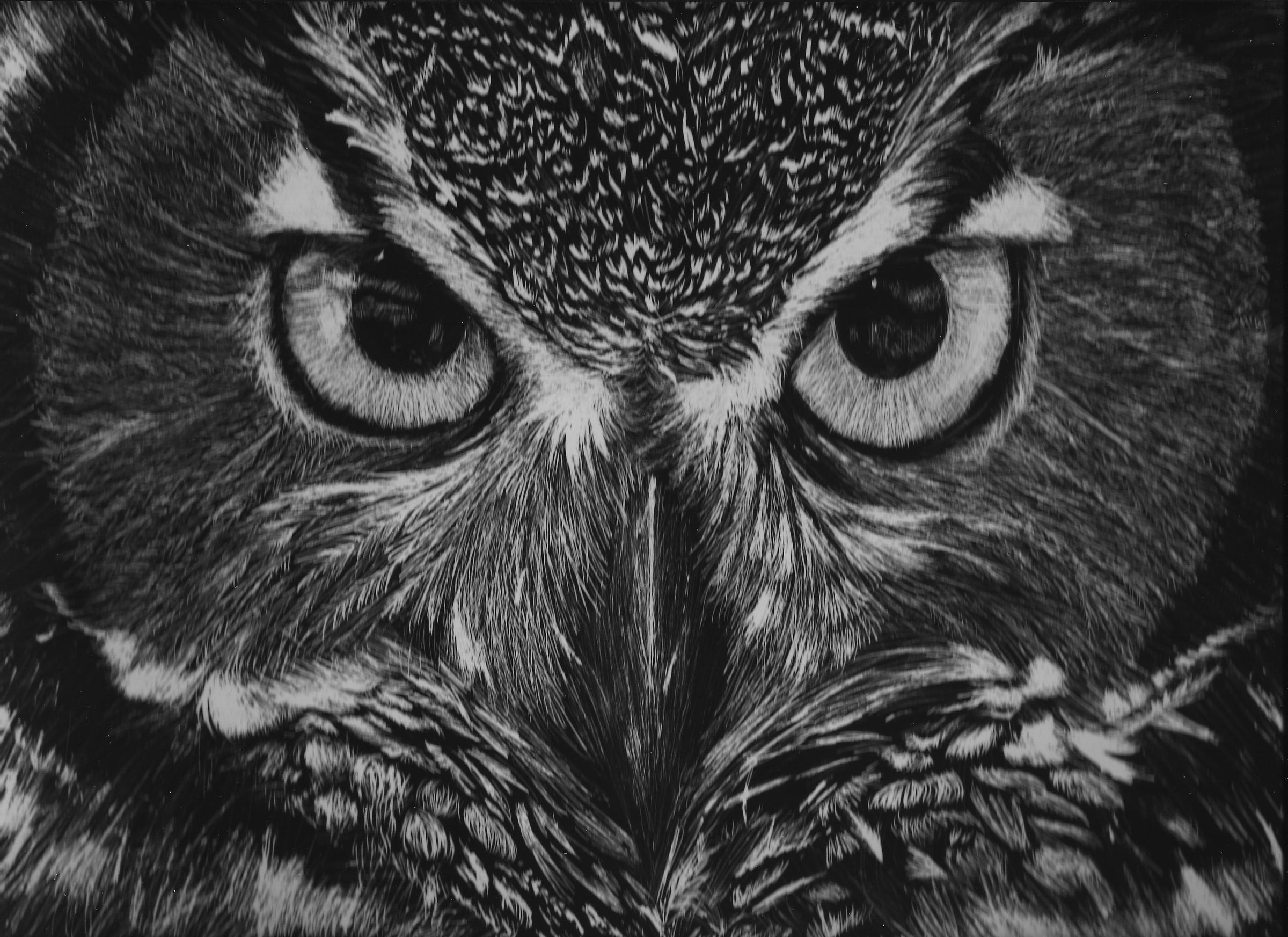 Jack Daniel's Independence Project 2012 James Marling