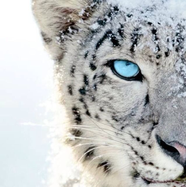 valentina_stojanoska