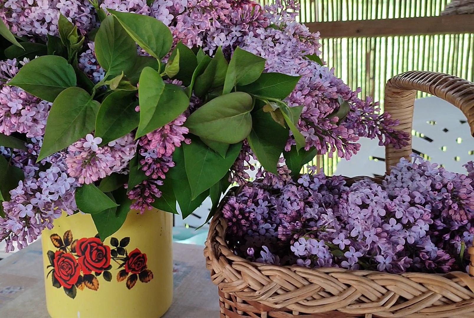 Common Lilac Syrup