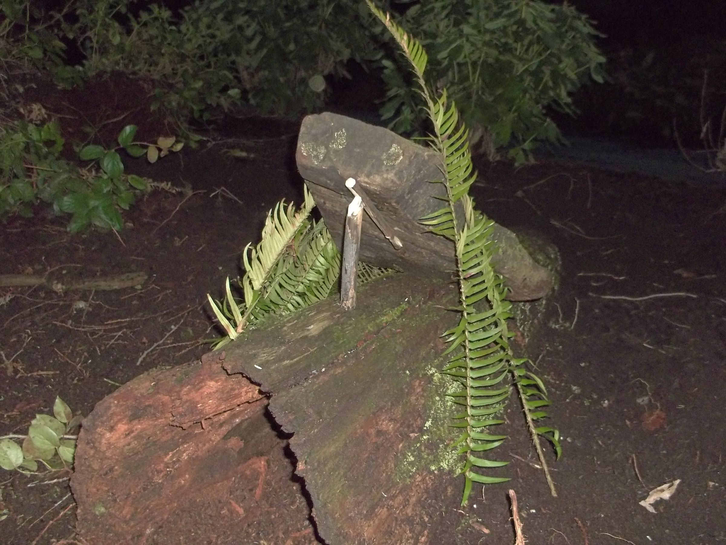 How to Make a Two Stick Deadfall Trap.