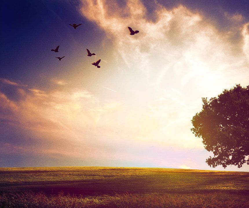 Creating a Sunset and Adding Object in Photoshop