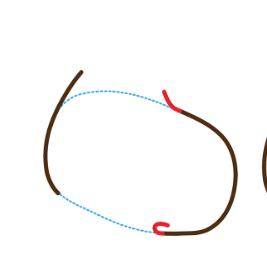 Start on Ears