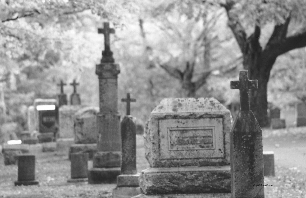 Cemetary Photos