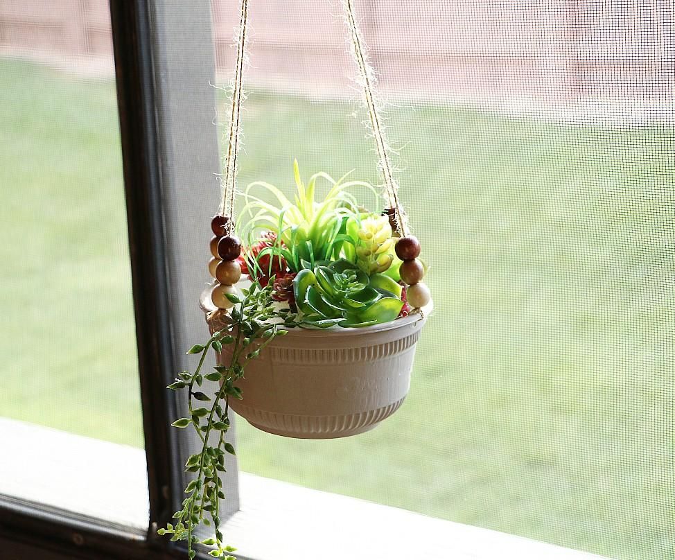 pearls and jade pothos 4