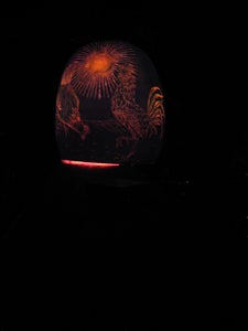 Melon Lantern Aka Chinese Lantern