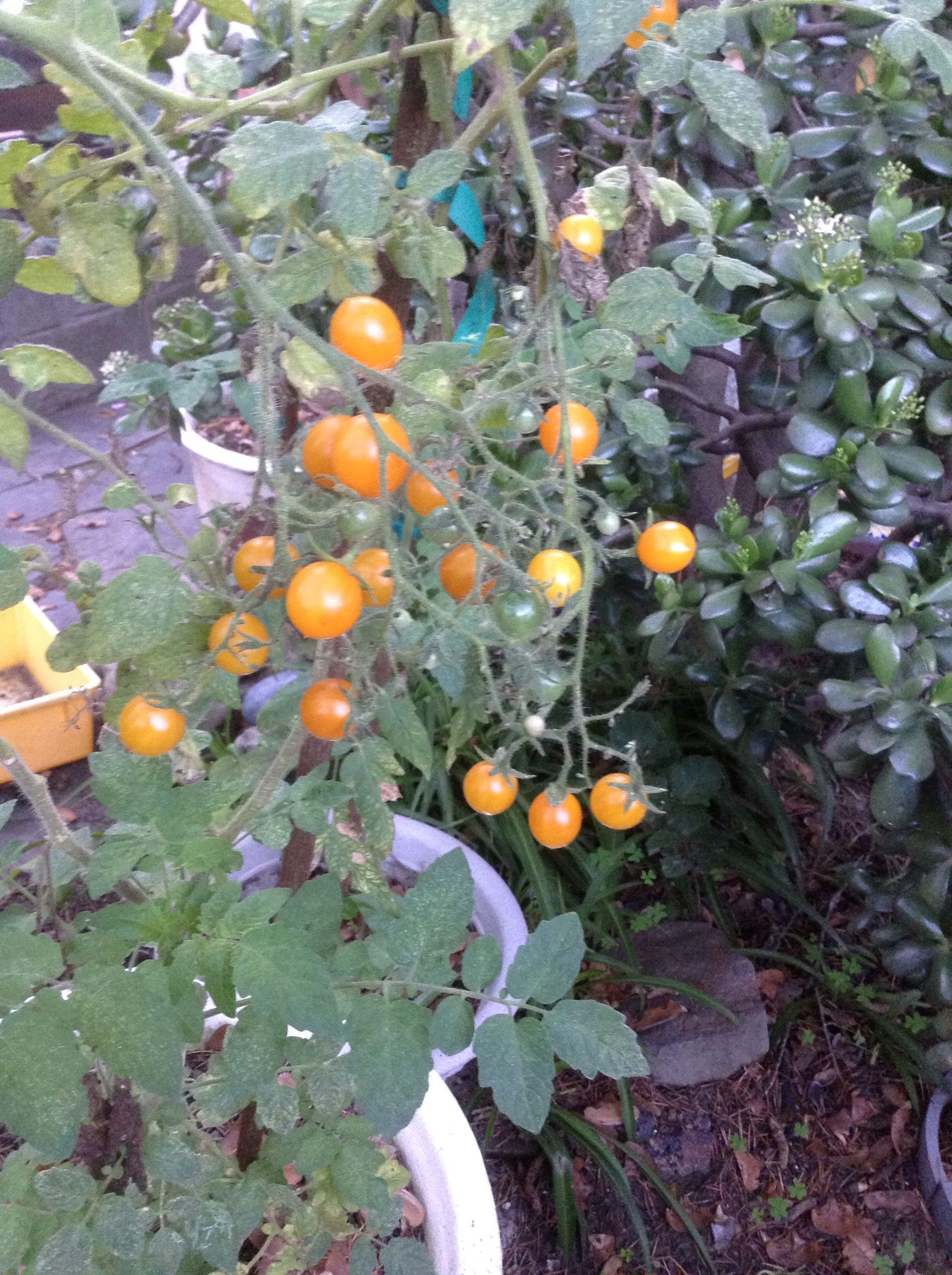 How to Zombie Proof Your House! 4 Steps (with Pictures) Instructables