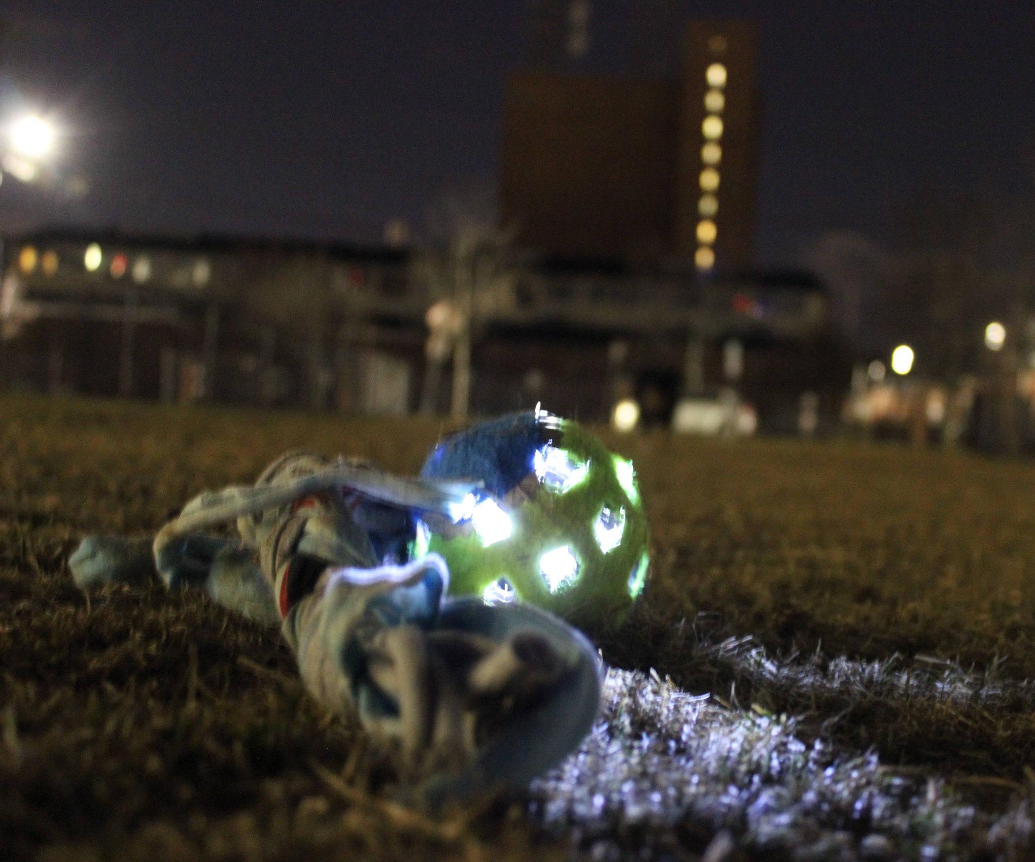 3 Light Up Dog Toy 6 Steps (with Pictures) Instructables