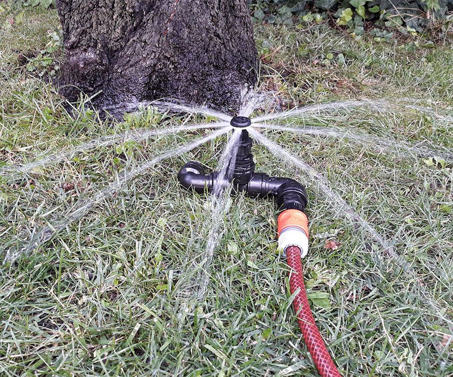 Small Tree, Shrub Irrigation
