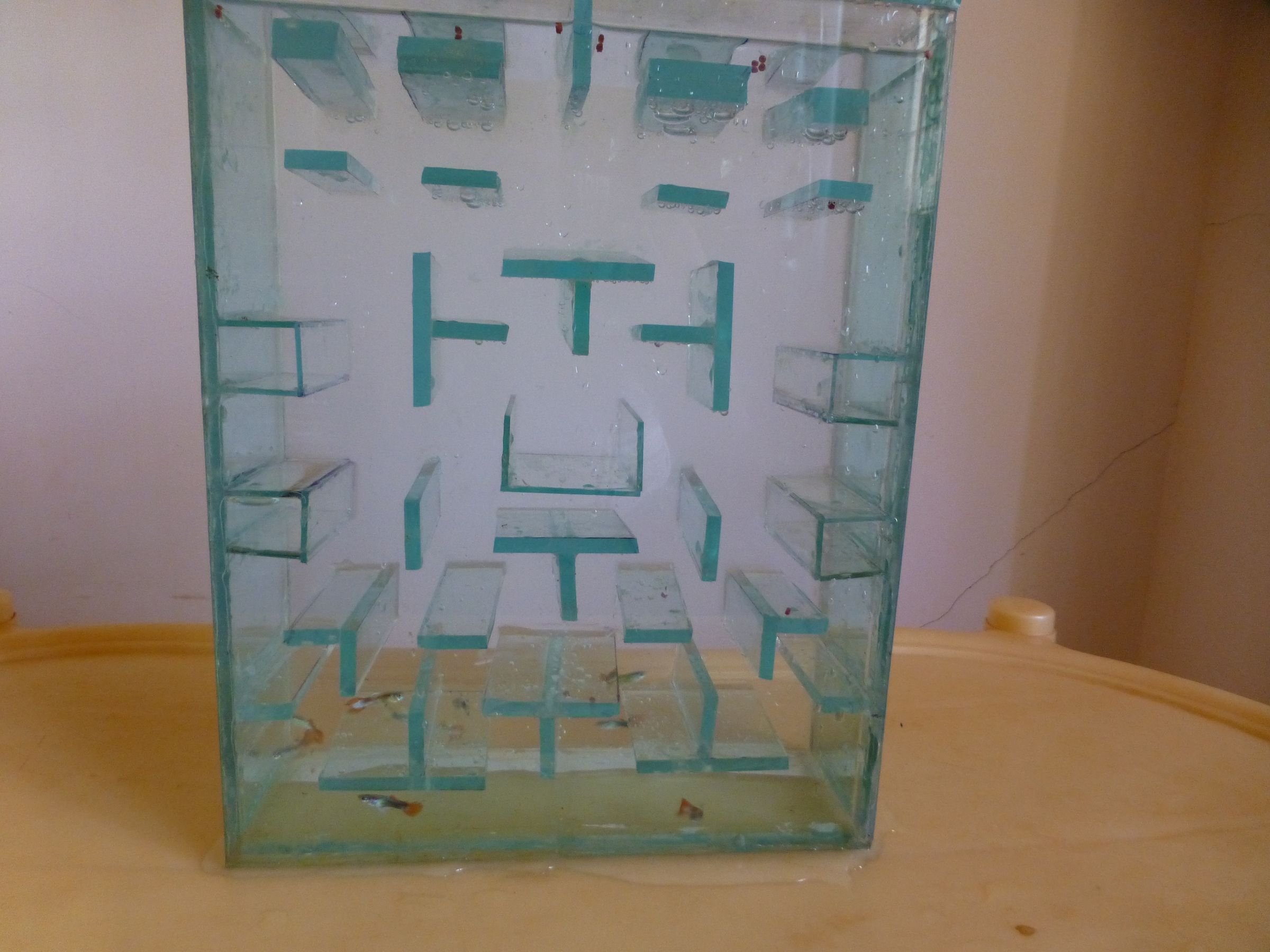 Pac Man Fish Tank