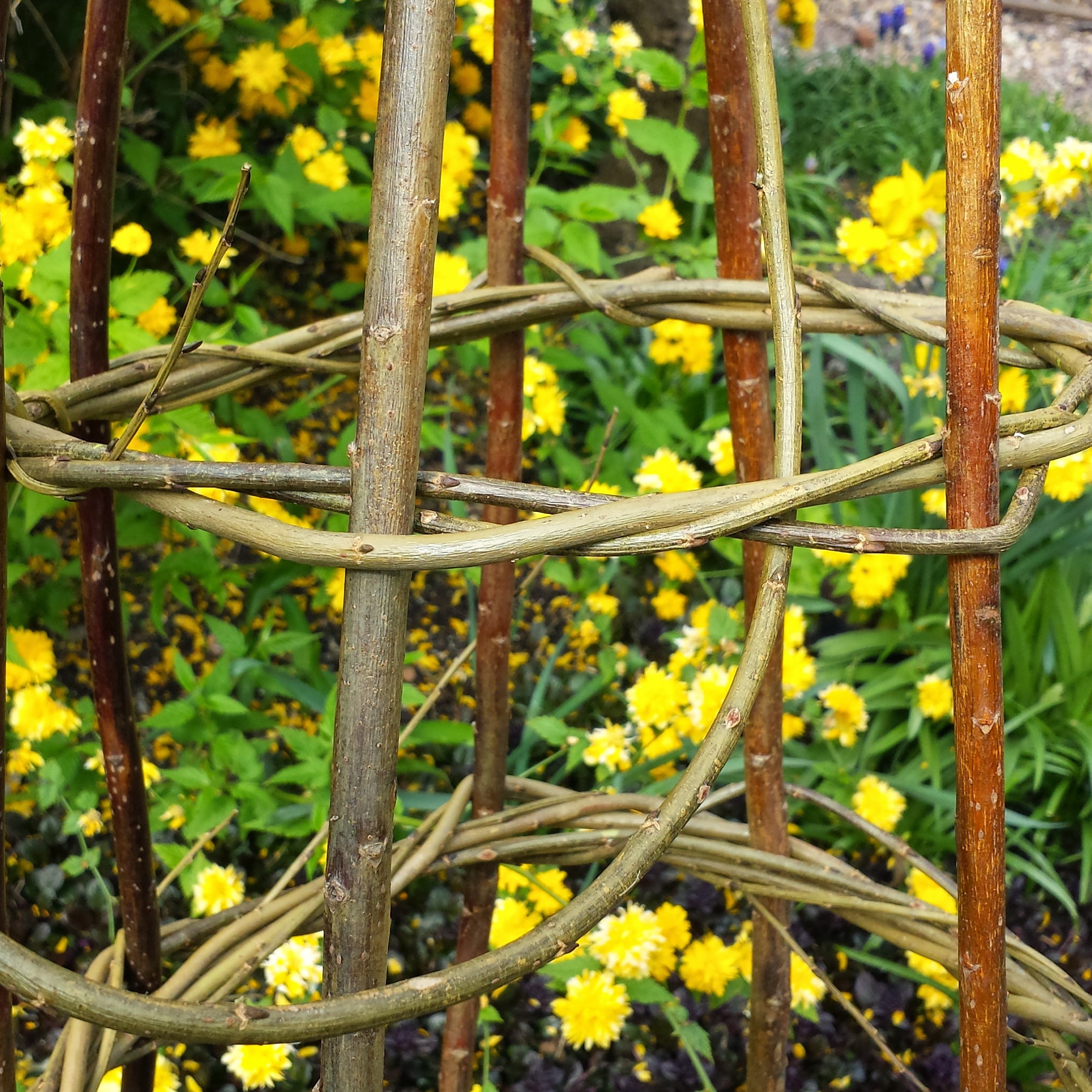 Willow Plant Support 9 Steps Instructables