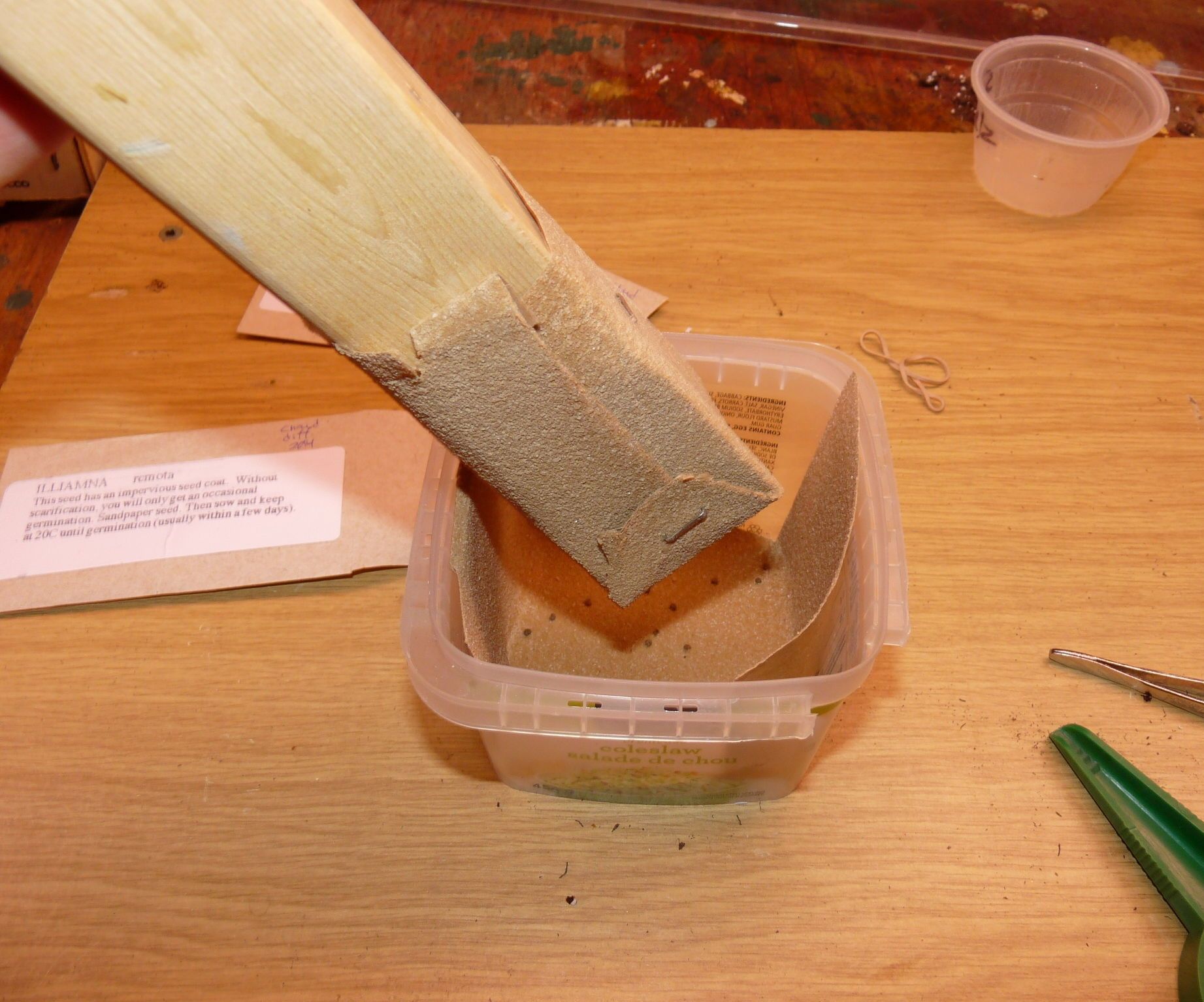 Seed Scarification Method - How to Scarify Seeds