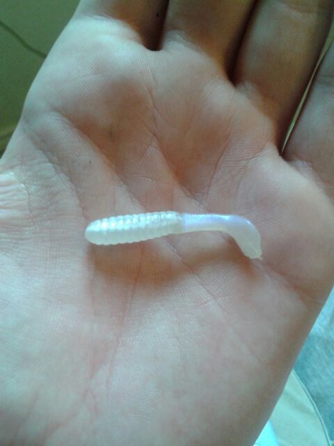 Environment Friendly Fishing Lures