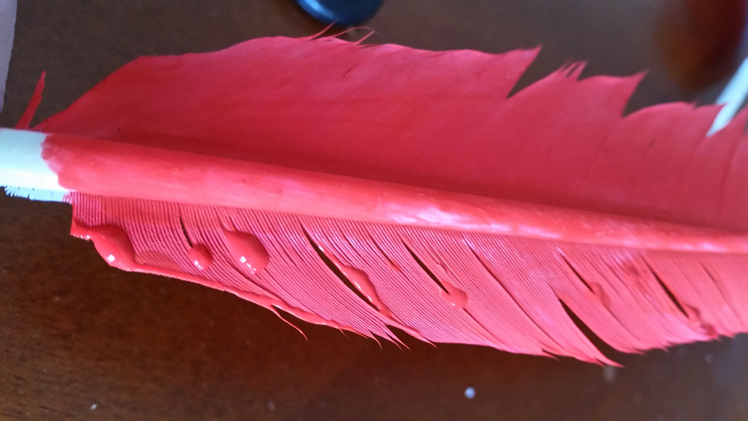 DIY Feather Quills 8 Steps (with Pictures) Instructables