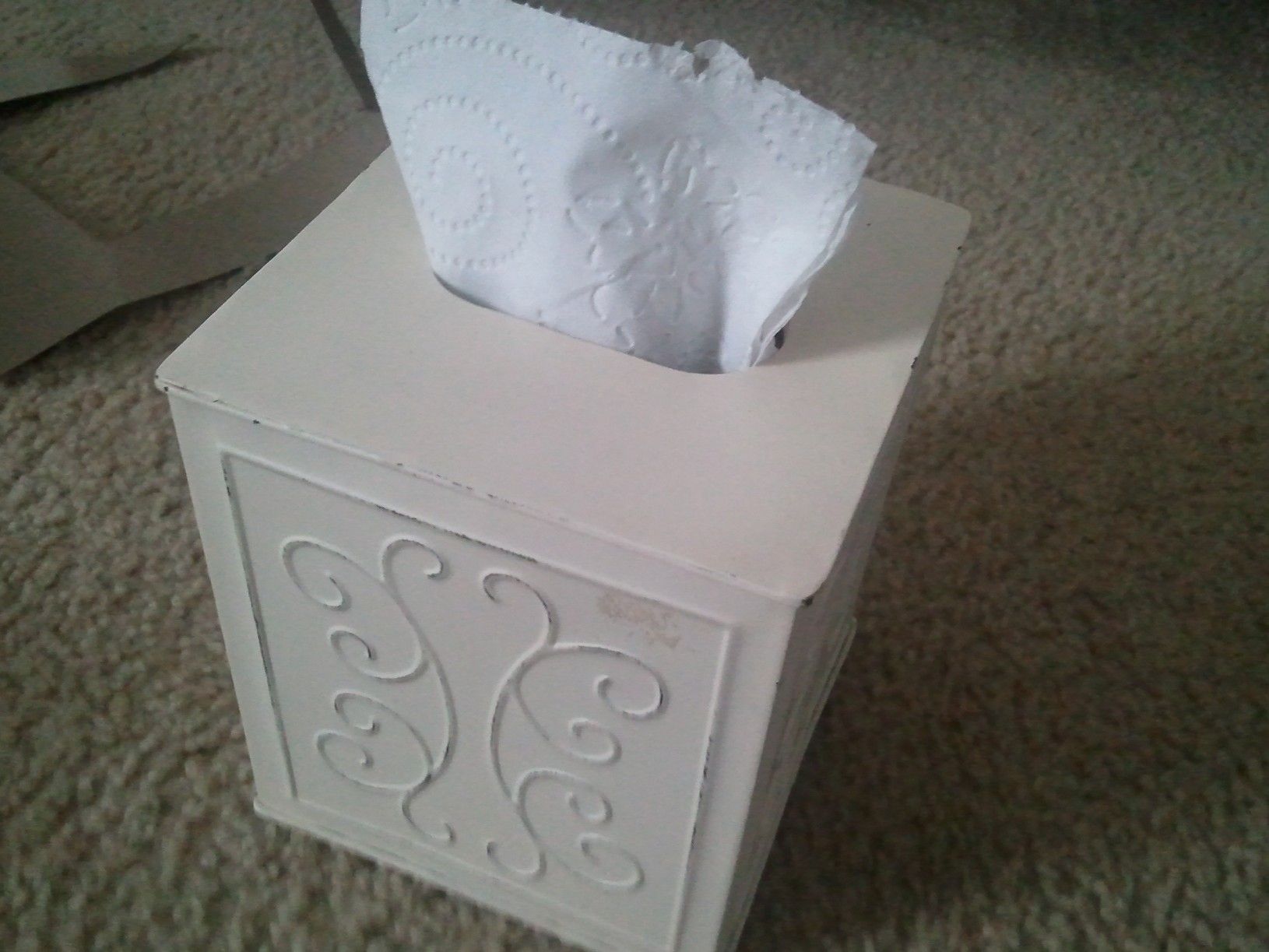 Tissue Holder Secret Compartment
