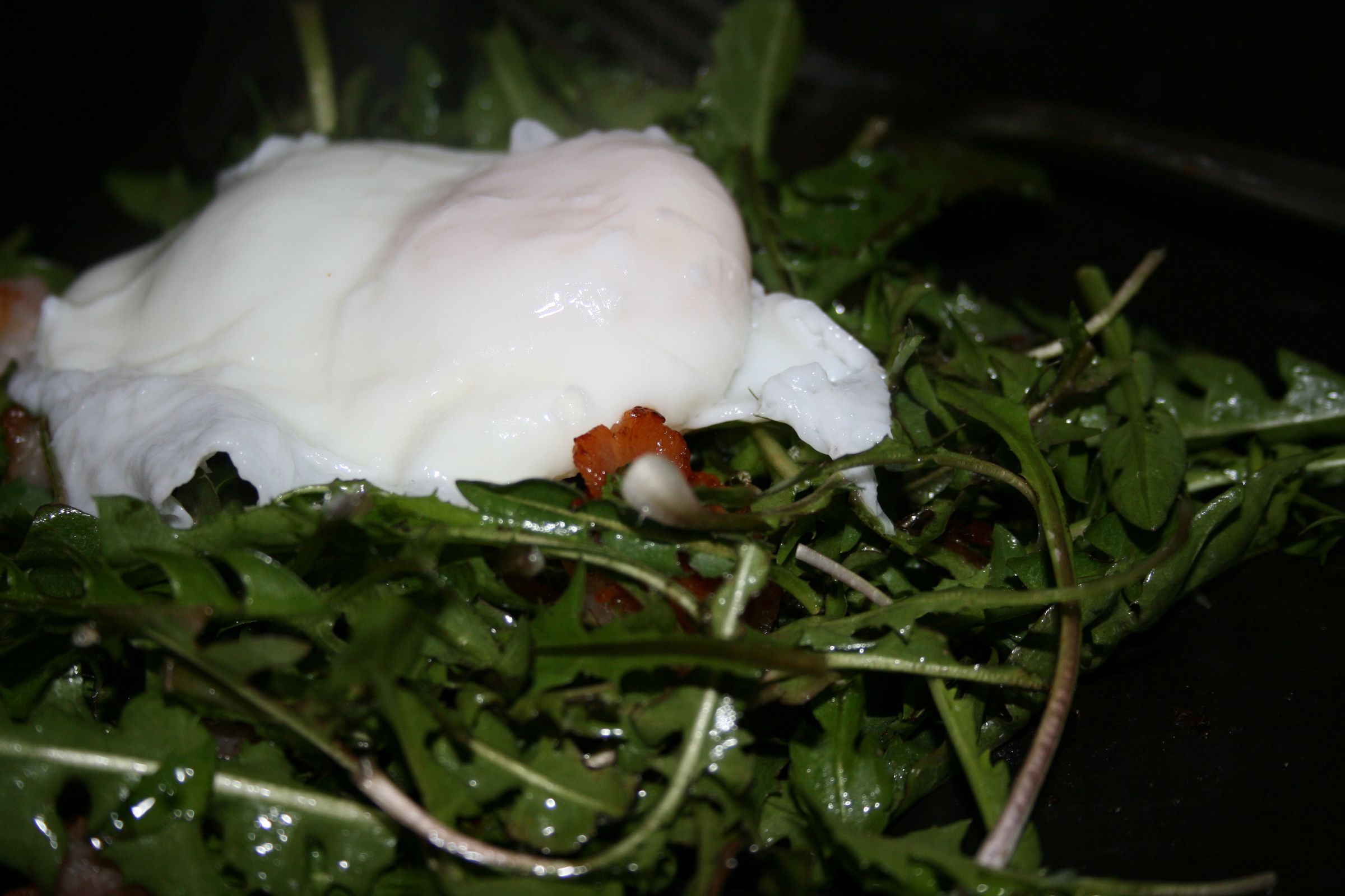 Eat Your Weeds, Dandelion Salad