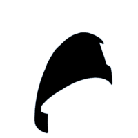 download {{ file.name }}