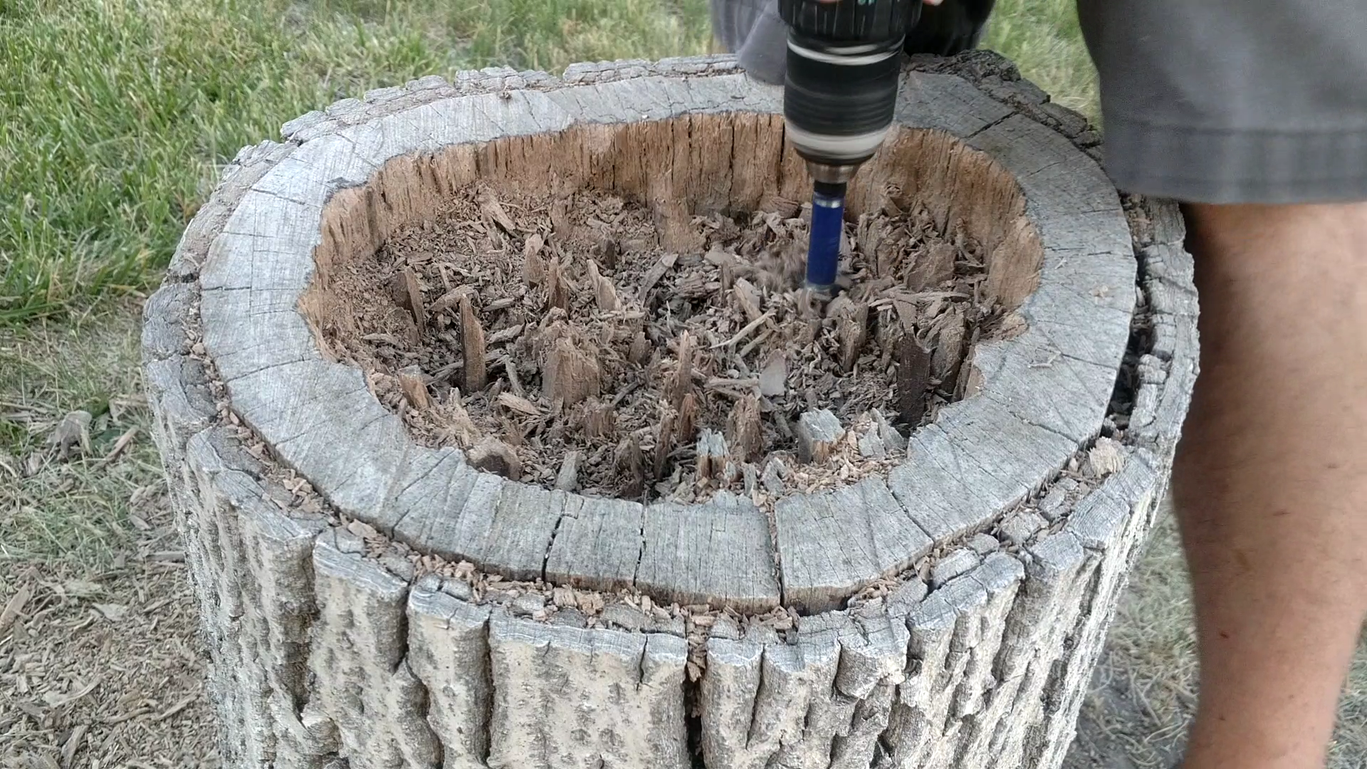 Turn A Stump Into A Planter 7 Steps With Pictures Instructables 