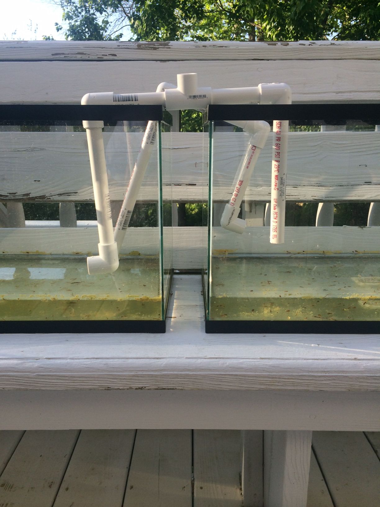 Aquaponics By: Batman or Jack Jones