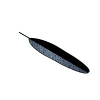 download {{ file.name }}