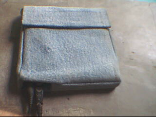 Levis Protectable 1