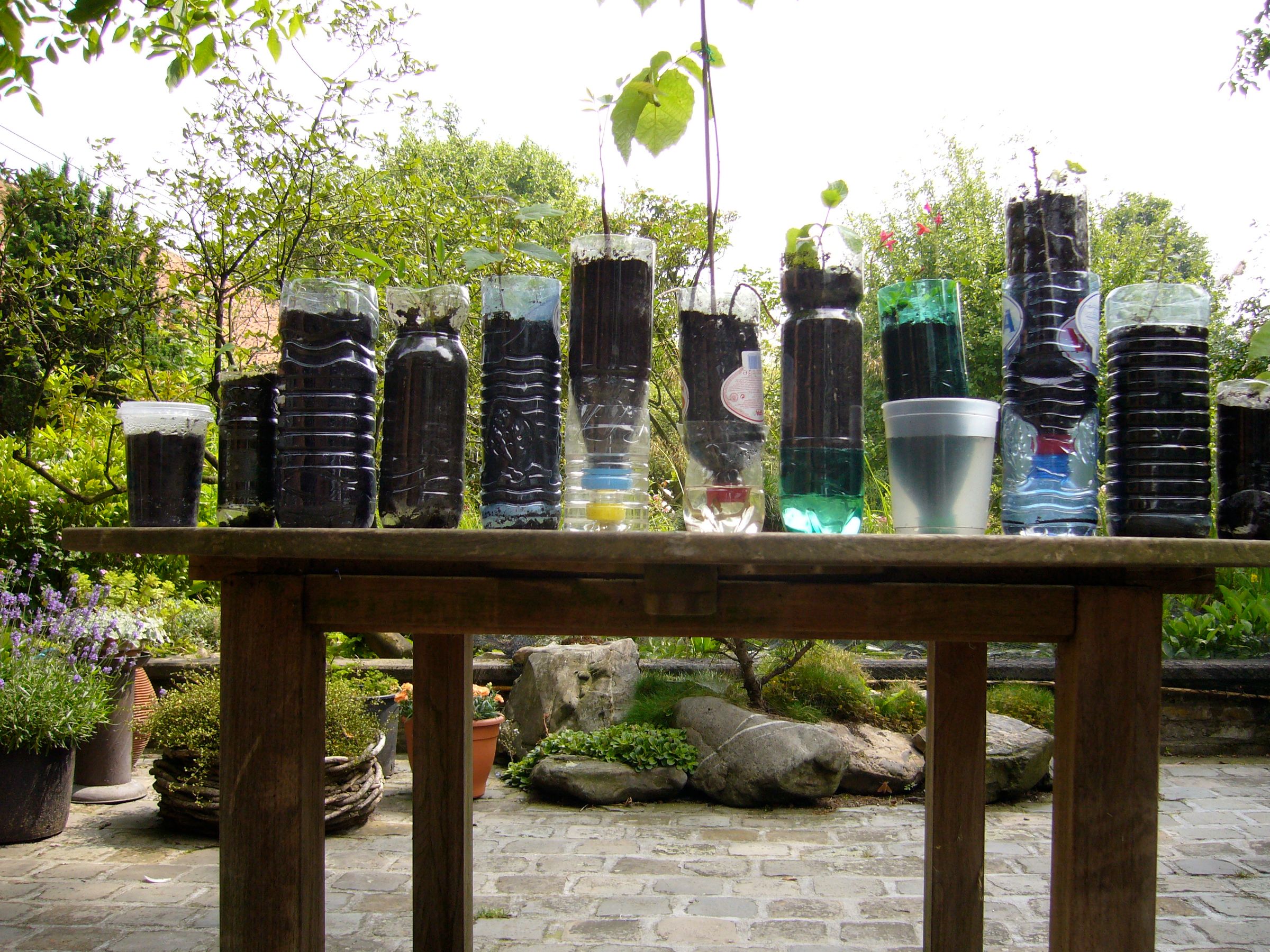 Types of Containers One Can Use for Gardening