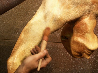 Apply Cupric Nitrate