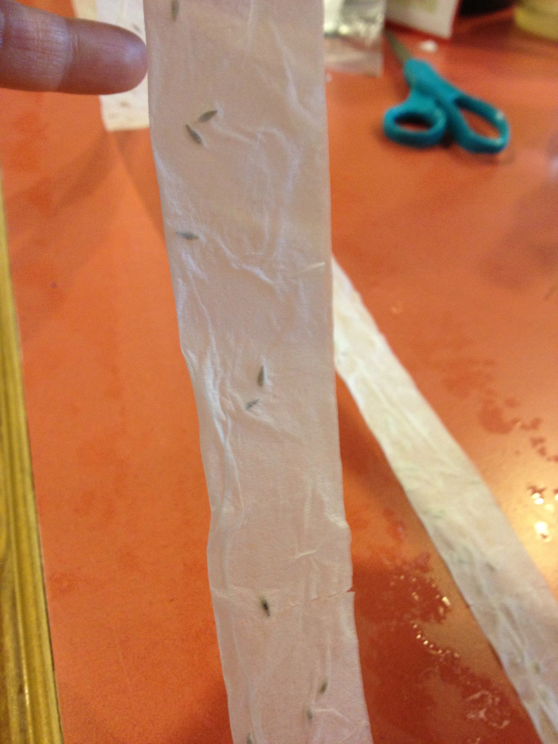 How to Make Paper Seed Tape