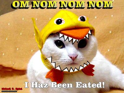 LOLCATS