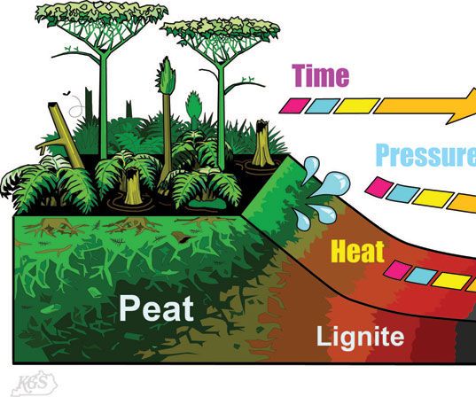 How Fossil Fuels Are Formed