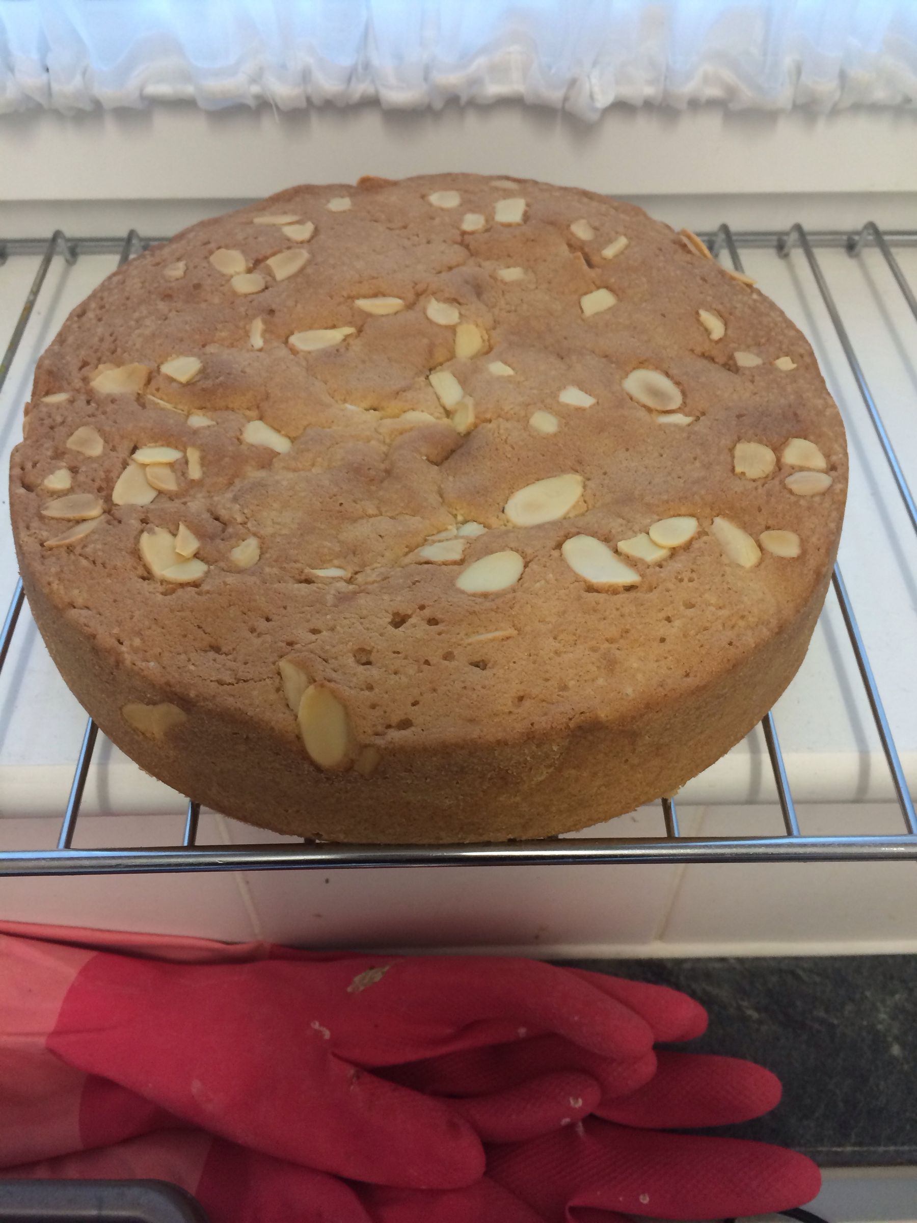 Chocolate Almond Sponge Cake