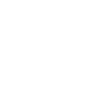 download {{ file.name }}