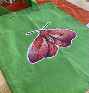 Remove Transfer Paper and Bag Is Finished!