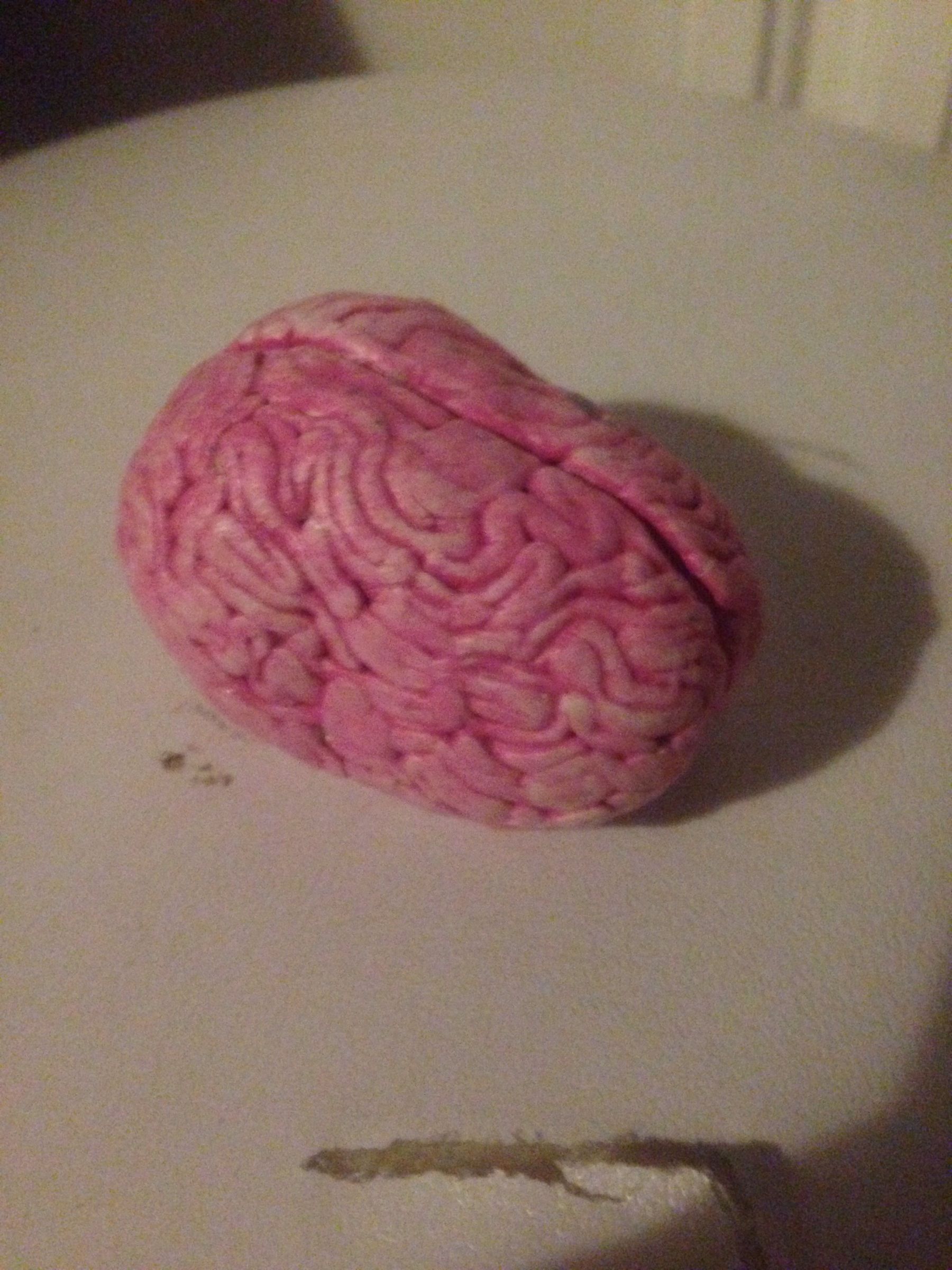 DIY Little Fake Brain