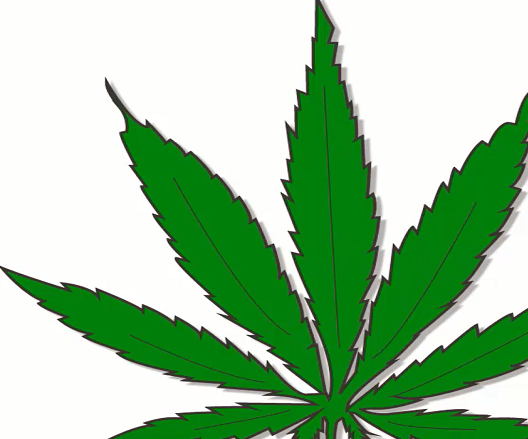 Cannabis Companies Stock Market