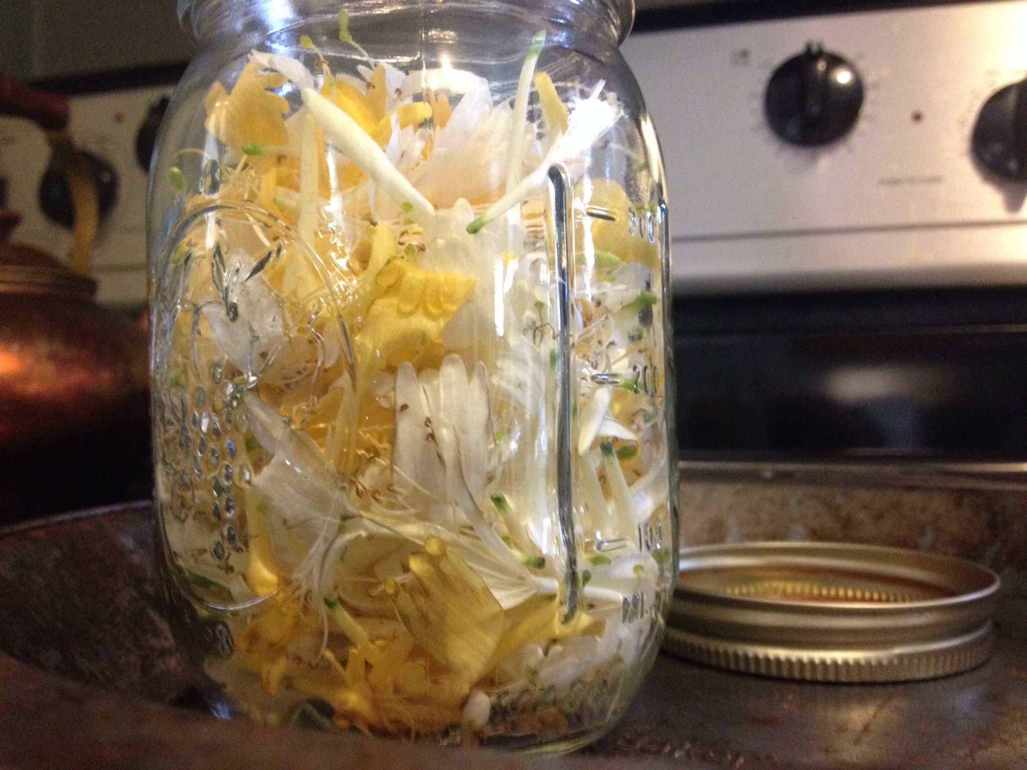 Honeysuckle Fragrance Oil