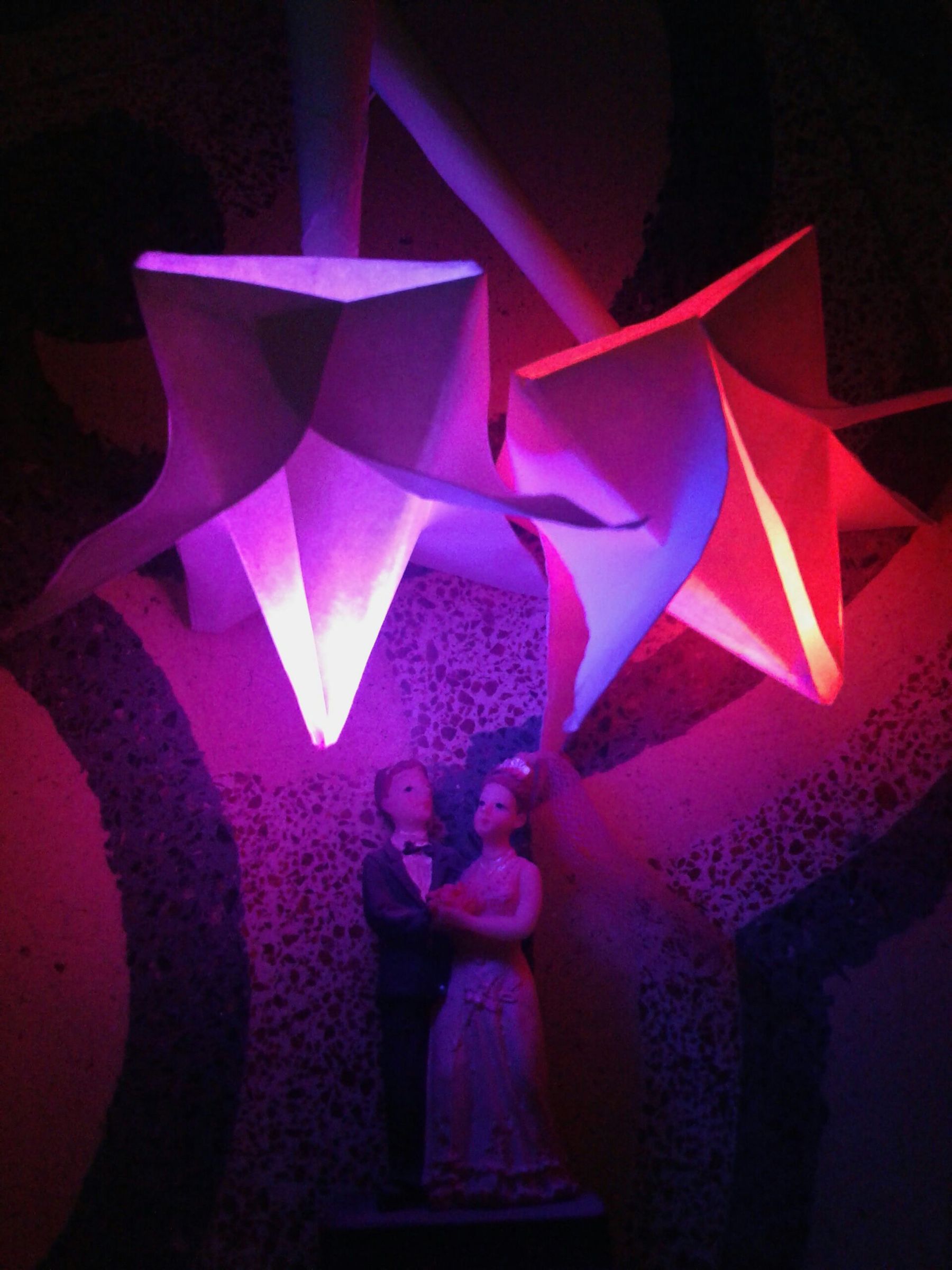 Glowing Flowers 
