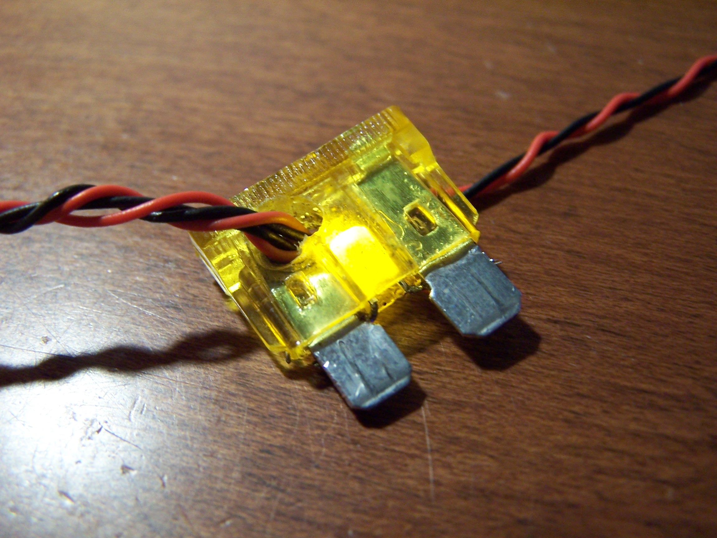 You Amplify My Life -- Share the Love