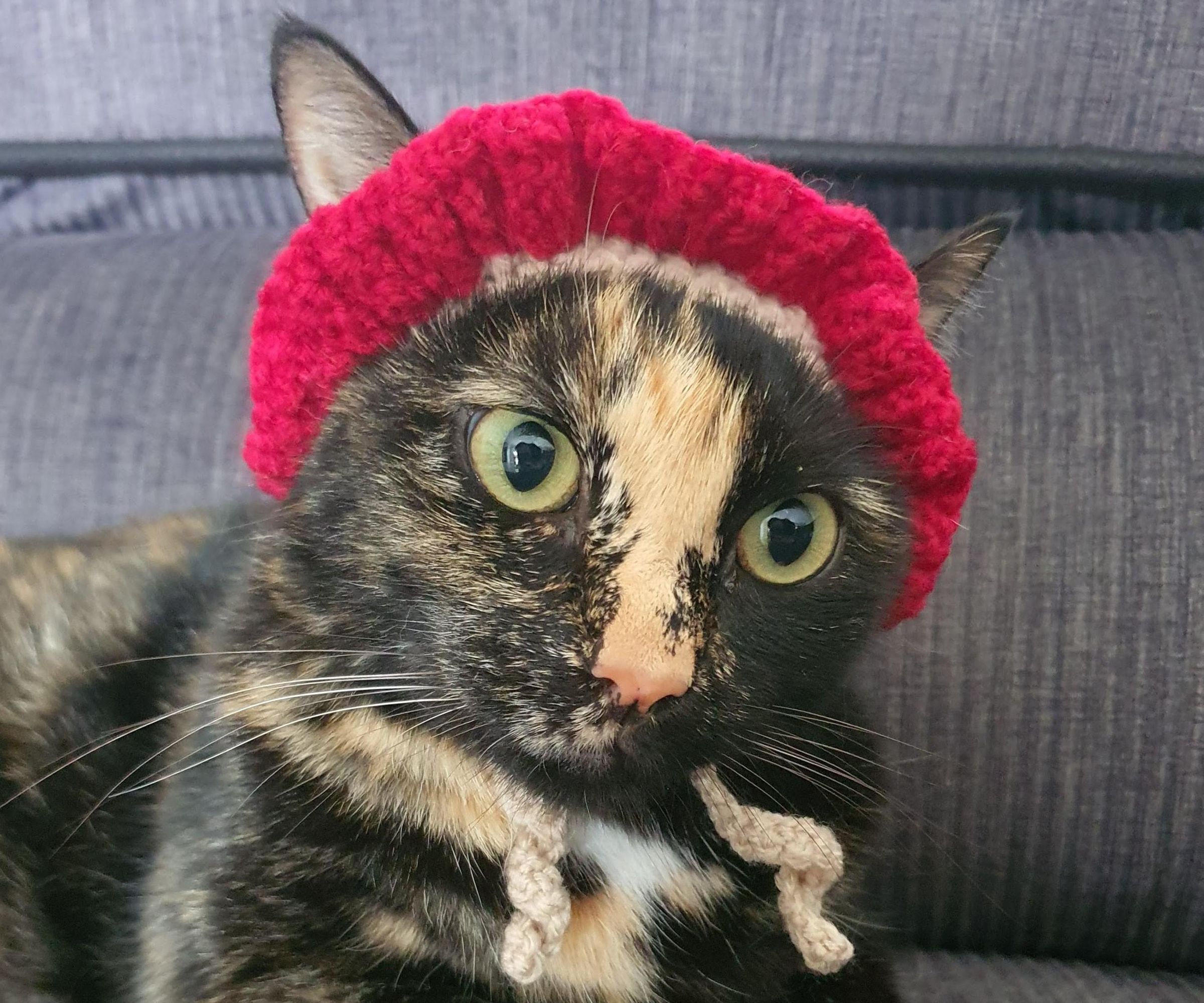 Crochet Mushroom Hat for Cats