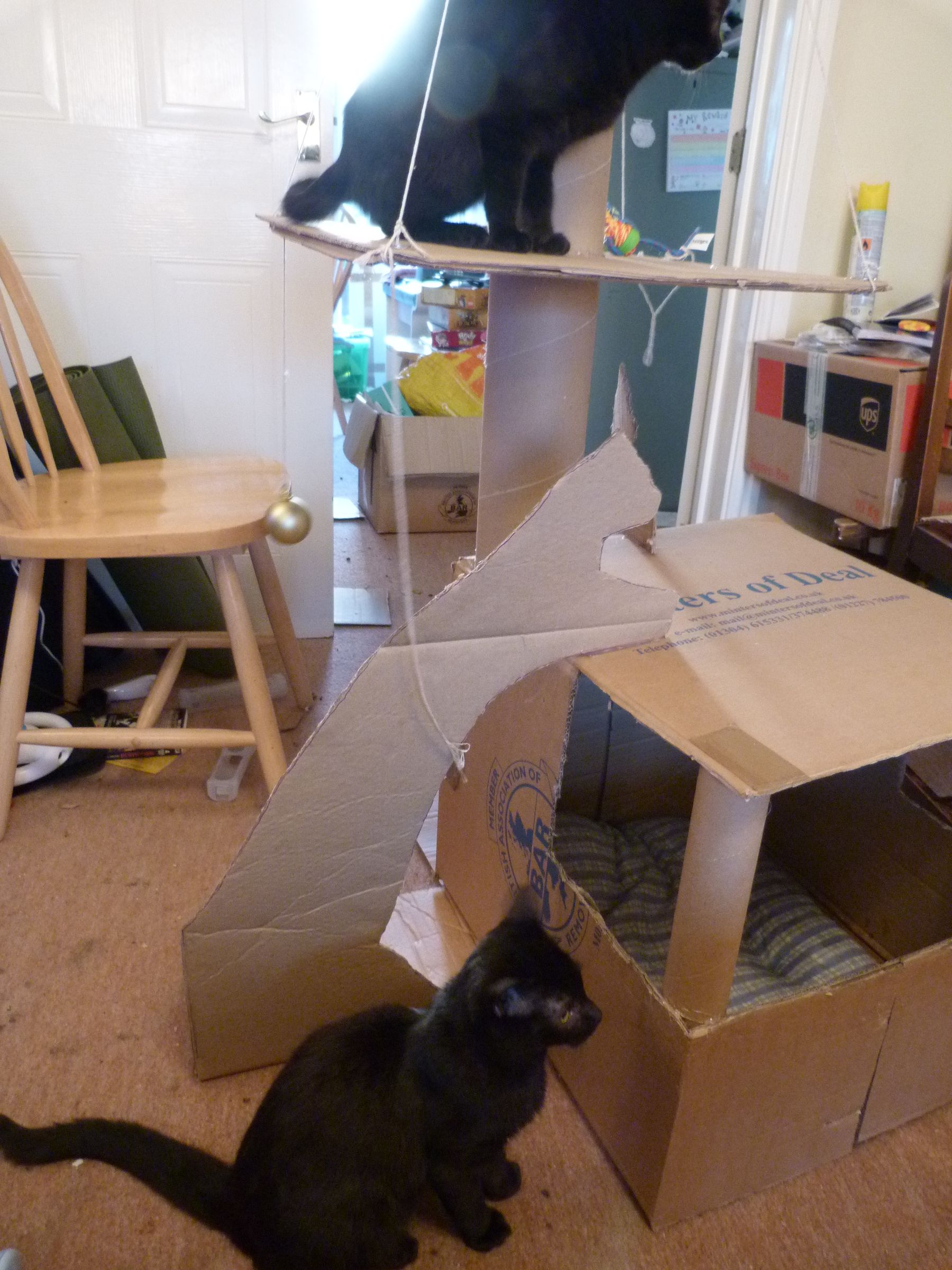 Cat Activity Centre Instructables