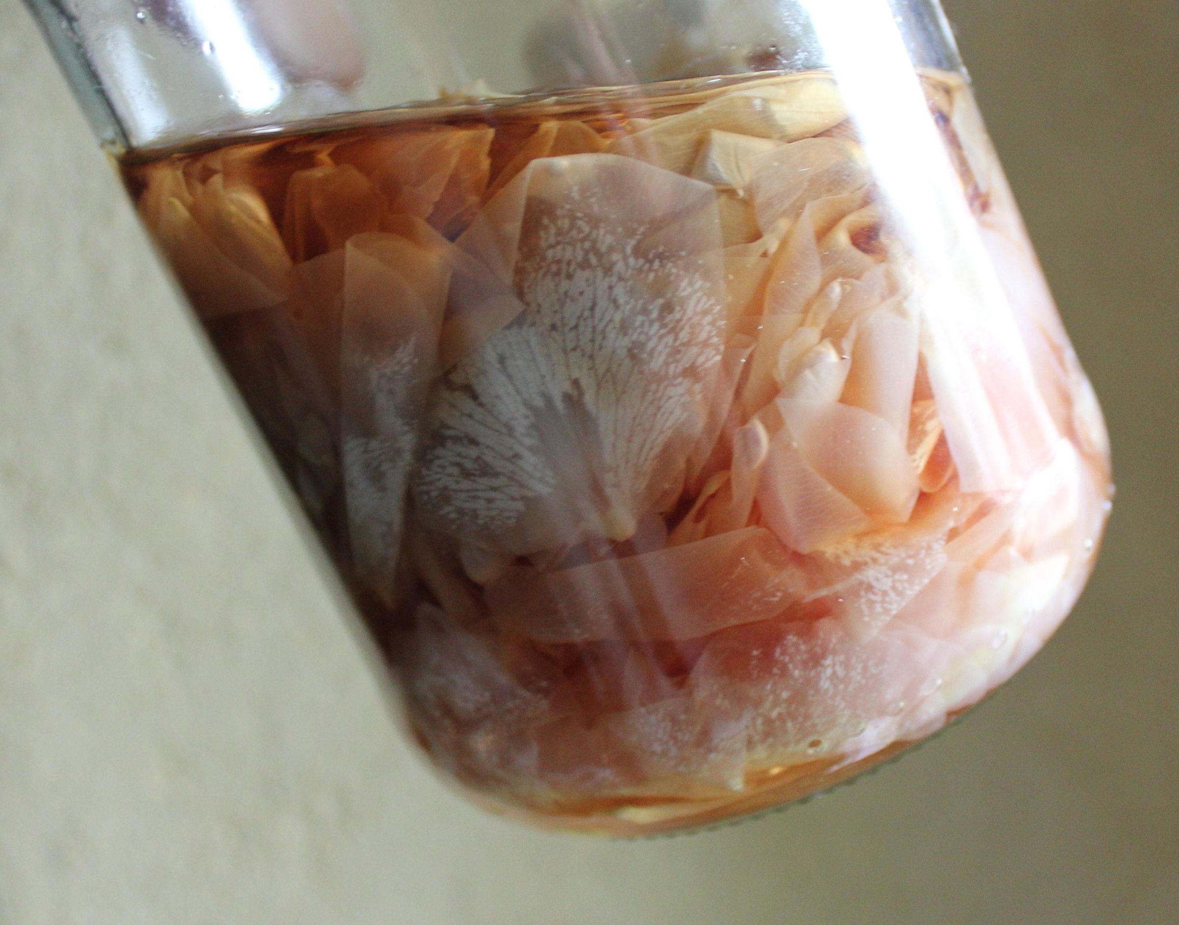 Making Rose Petal Perfume the Red Rose of Lancaster 3 Steps