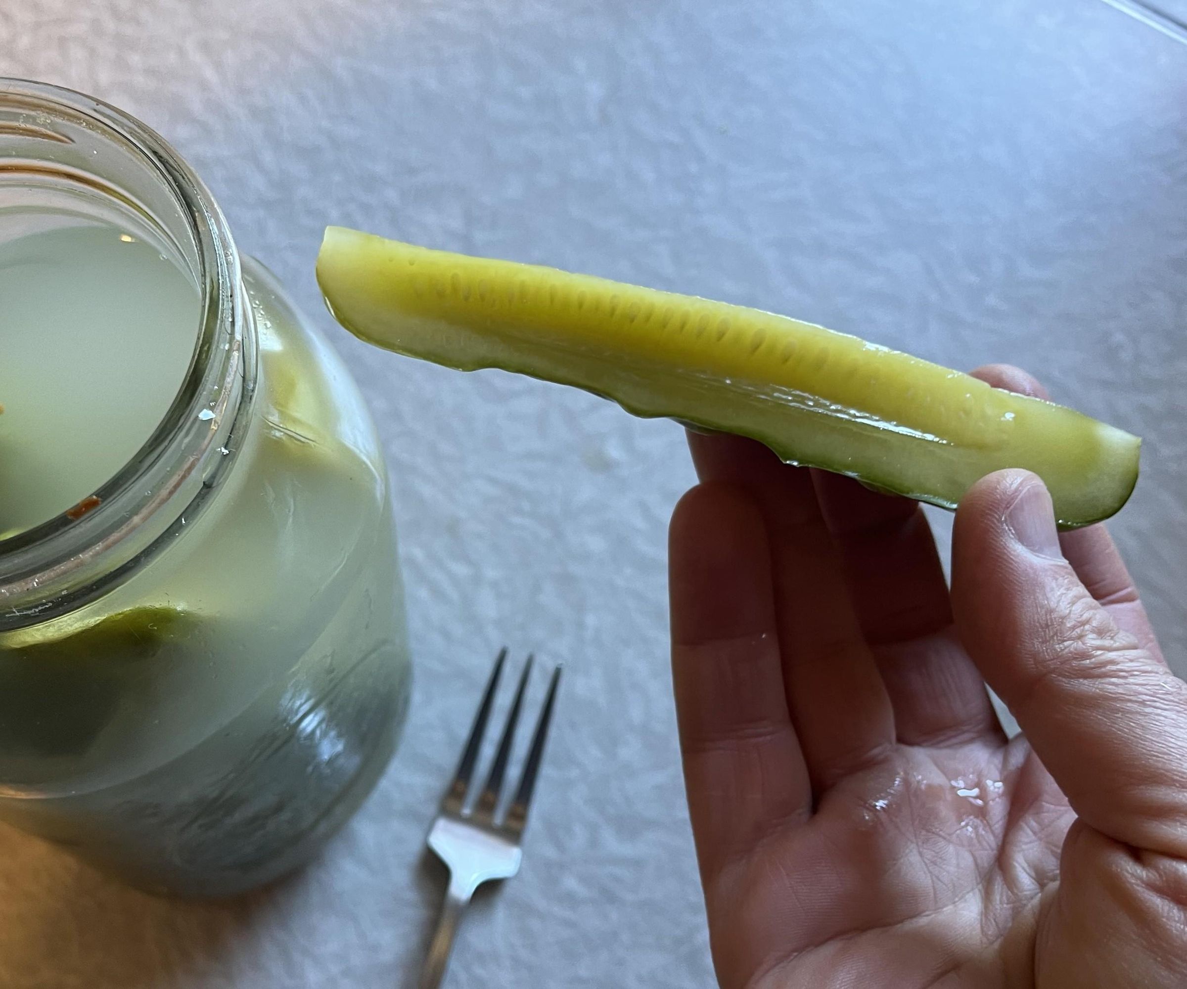 Half-Sour Fermented Pickles