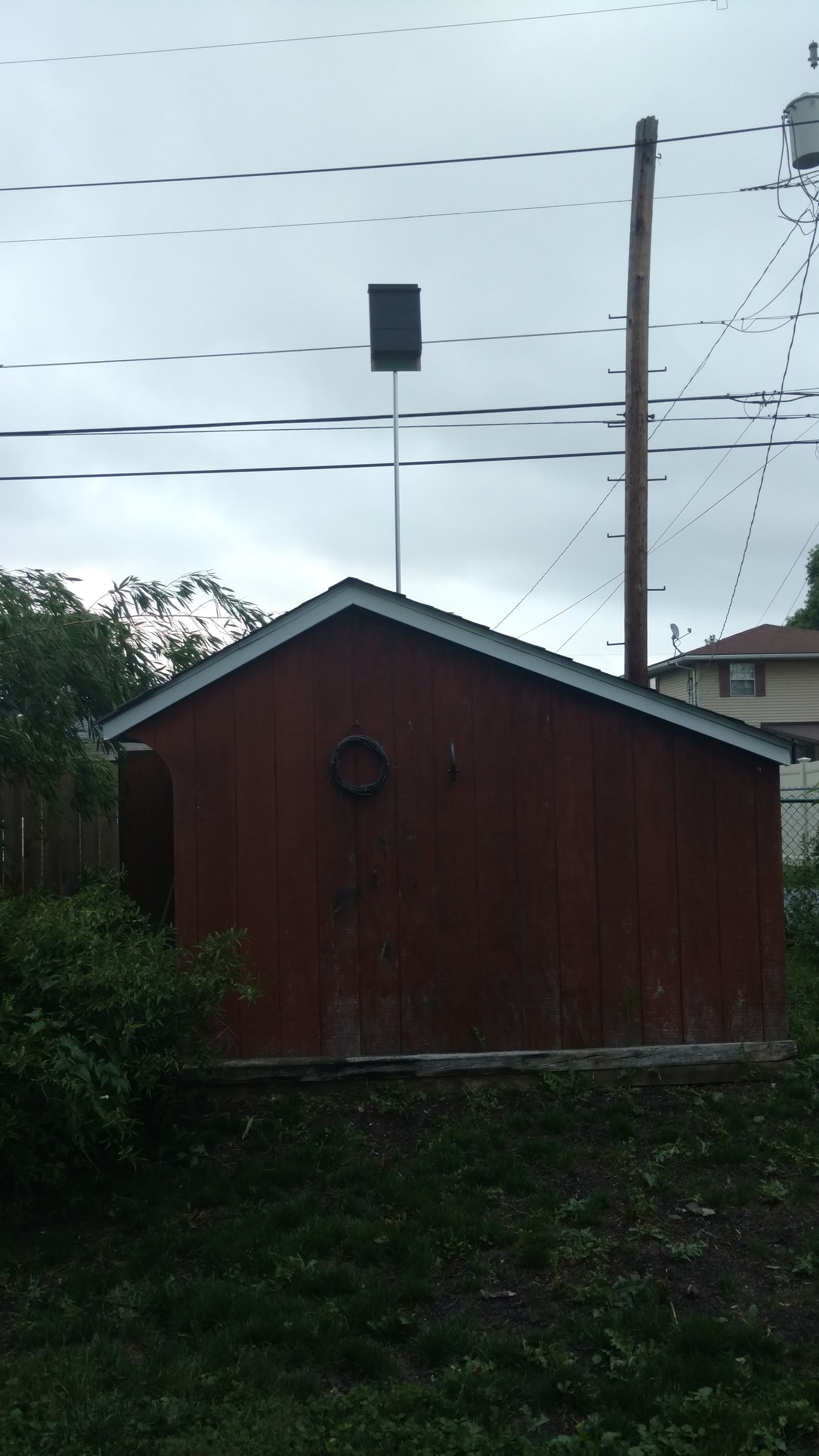 How to Hang a Bat House (on a Shed) 5 Steps (with Pictures