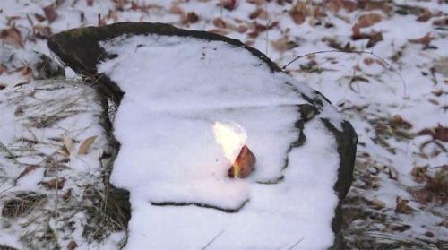 Sawdust Firestarters