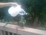 Eco-friendly Reusable Watering Can