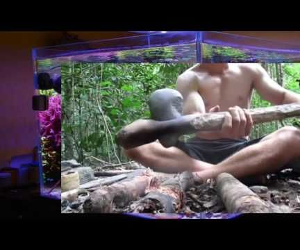 Stone Axe in the Jungle