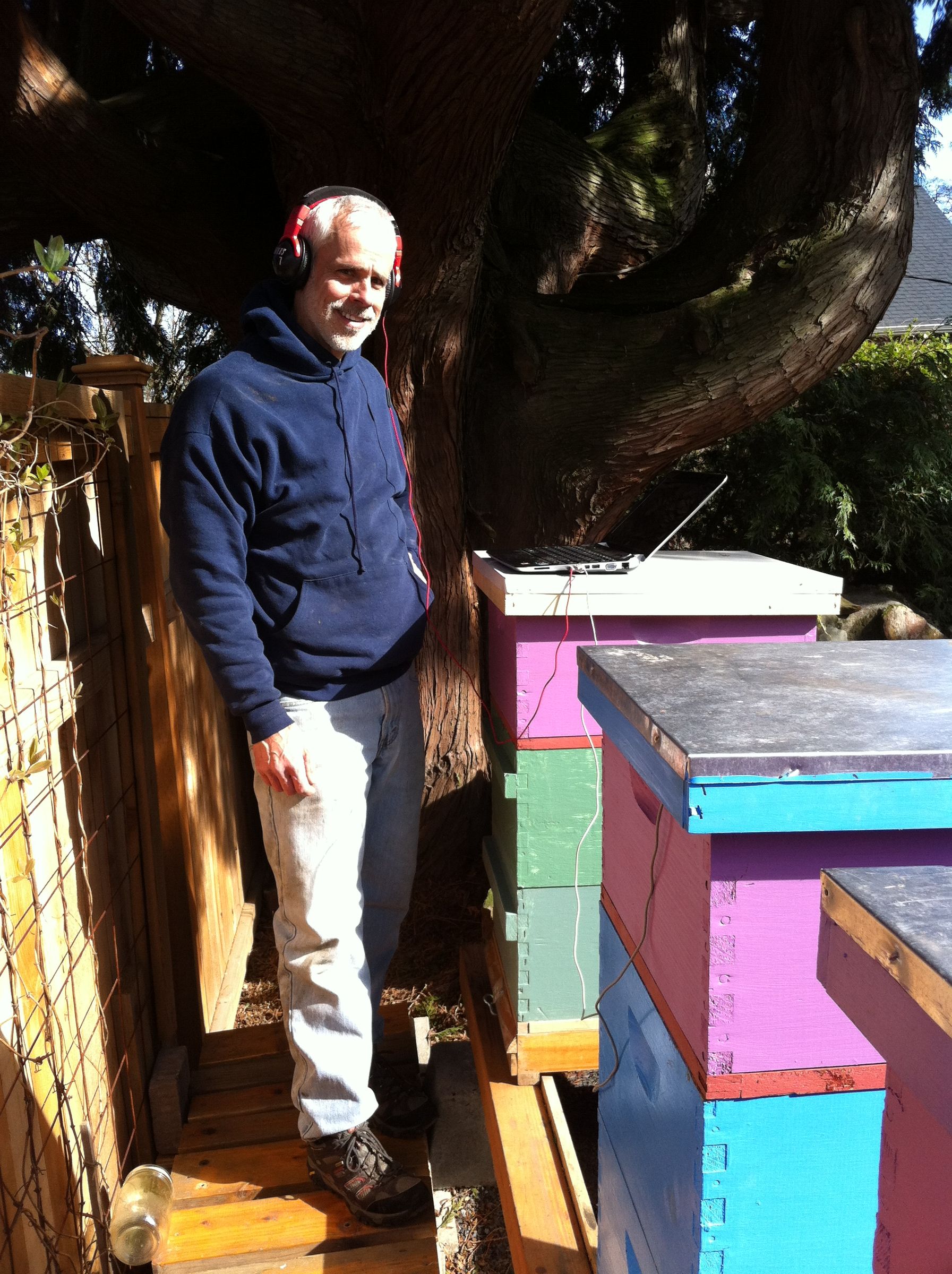 Iphone Apidictor for Acoustal Beehive Swarm Detection