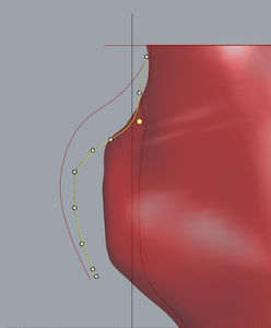 Boundary Curve Modifications