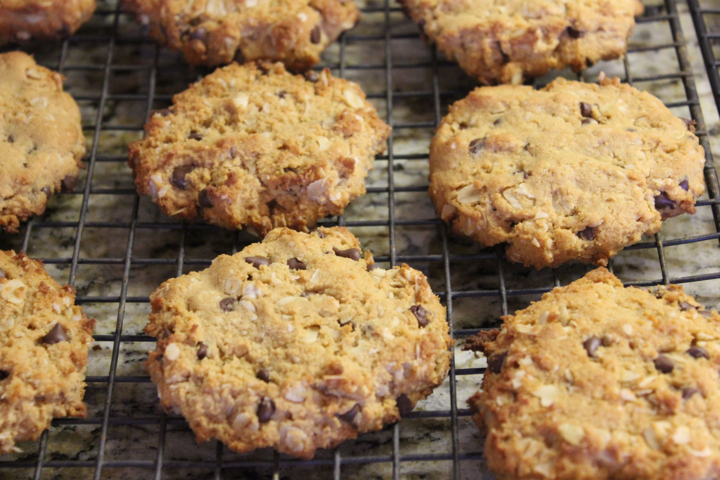 Gluten Free Peanut Butter Oatmeal Chocolate Chip Cookies