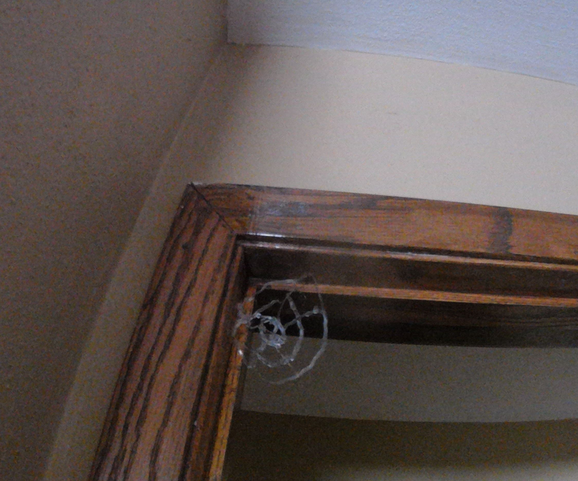 Hot Glue Spider Web